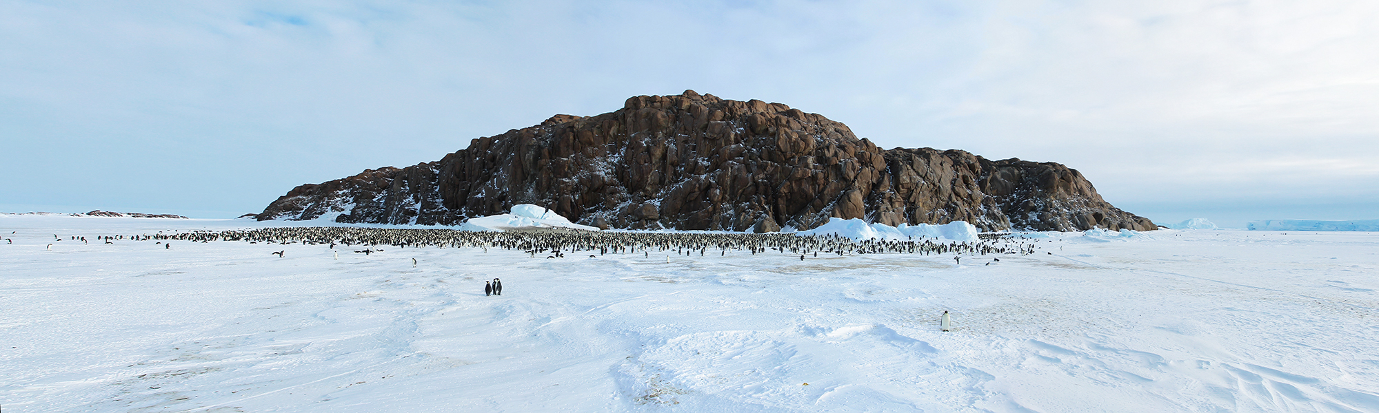 Croisière Péninsule antarctique © Sergey / Adobe Stock