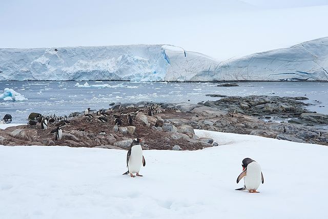 Voyage Aux confins de l'Antarctique