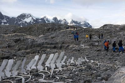 Terre de Graham - Antarctique