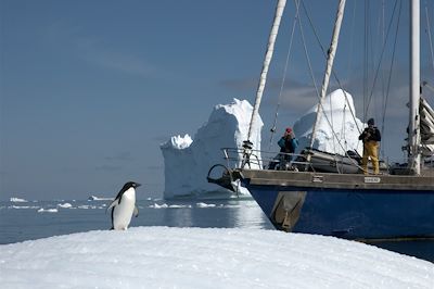 Faune et glaces de l'Antarctique - Antarctique