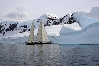 Faune et glaces de l'Antarctique - Antarctique