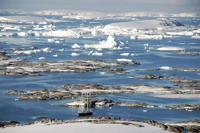 Faune et glaces de l'Antarctique - Antarctique