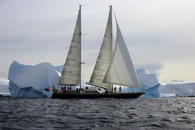 Faune et glaces de l'Antarctique - Antarctique