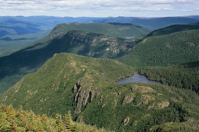 Voyage Découverte de la Gaspésie