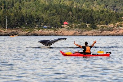 Voyage Québec