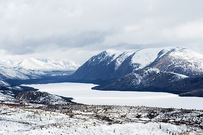 Fleuve Yukon - Région de Whitehorse - Territoire du Yukon - Canada