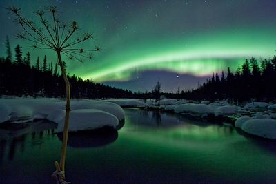 Whitehorse - Yukon - Canada