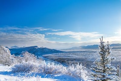 Paysage du Yukon pendant l'hiver - Canada