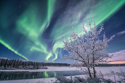 Aurore boréale - Territoire du Yukon - Canada 