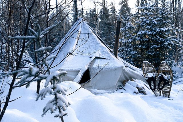 Voyage Traîneau à chiens dans les forêts du Québec