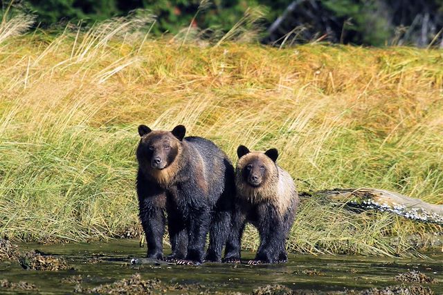 Voyage Des Rocheuses au Yukon et à l'Alaska