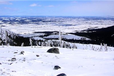 Dans les plaines - Saint-Edmond-les-Plaines - Lac Saint-Jean - Québec - Canada