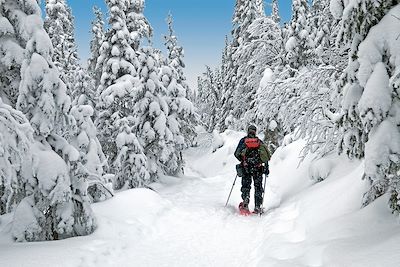 Parc national des Monts-Valin - Québec - Canada