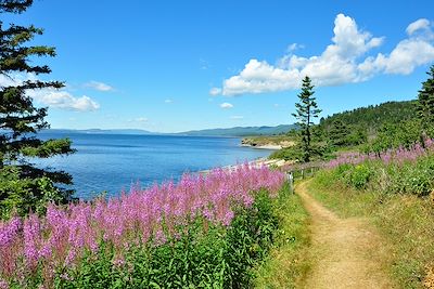 Parc national de Forillon - Gaspésie - Québec - Canada