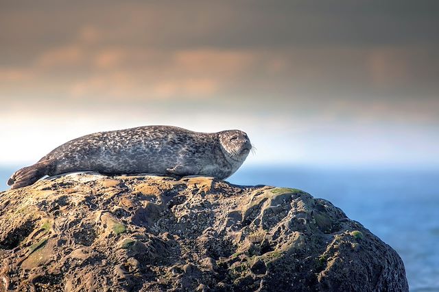 Voyage Saint Laurent et l'île d'Anticosti