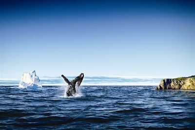 Voyage  Terre neuve et Labrador