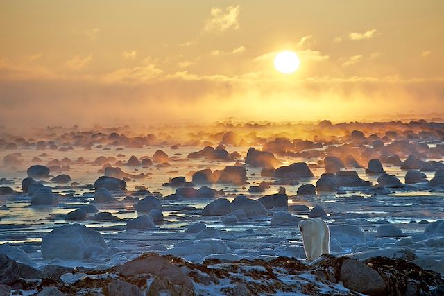 Voyage Train arctique et ours polaires de Churchill