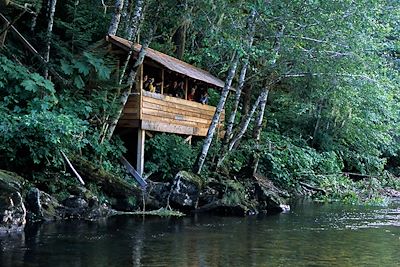 Île de Vancouver - Canada