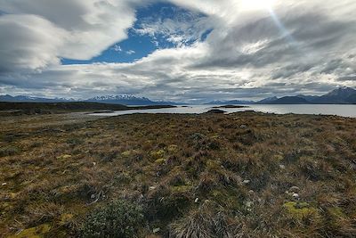 Une île sur le canal Beagle - Ushuaïa - Argentine