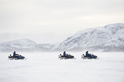 Traîneau à chiens Laponie finlandaise