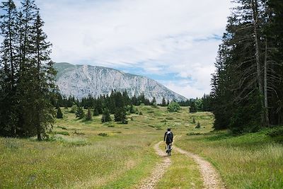 Voyage Alpes du Nord