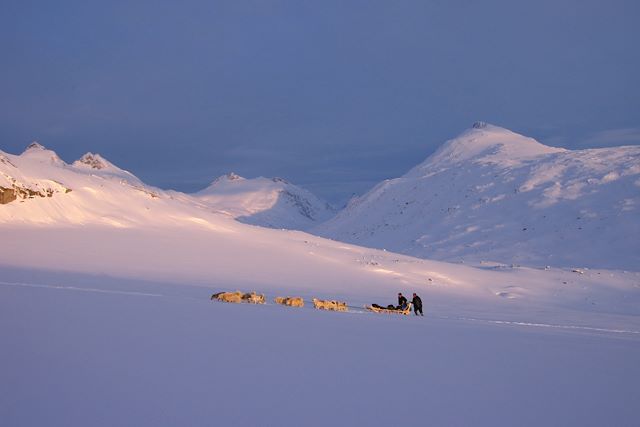 Voyage En traîneau à chiens avec les Inuit