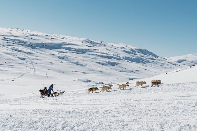 Voyage En traîneau à chiens avec les Inuit