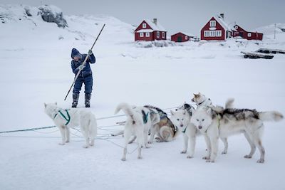 Traîneau à chiens - Village d’Oqaatsut - Nord du Groenland