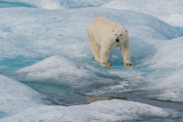 Voyage Les secrets de la mer de Baffin