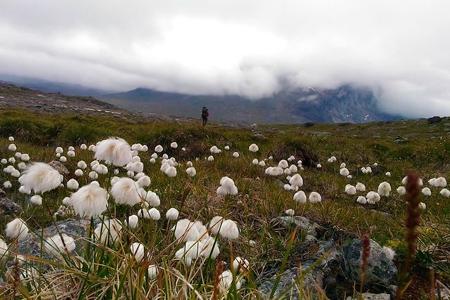 Voyage Glaces, fjords et montagnes de Nuuk