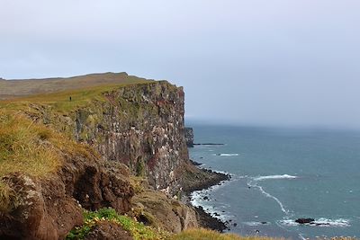 Falaises de Latrabjarg - Vestfiroir - Islande