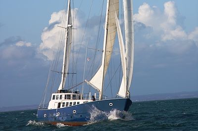 Croisières et voiles Islande