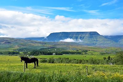 Cercle d'Or - Islande