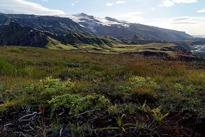 Thorsmok – Islande 