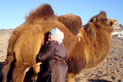 Désert de Gobi - Mongolie