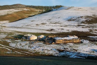 Camp de yourtes - Environs de Kharkhorin - Khangai - Mongolie