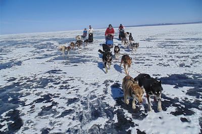 Traîneau à chiens sur le lac Khuvsgul gelé - Mongolie