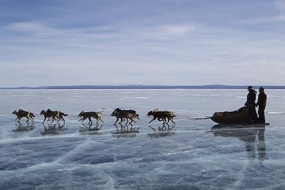 Traîneau à chiens sur le lac Khuvsgul gelé - Mongolie