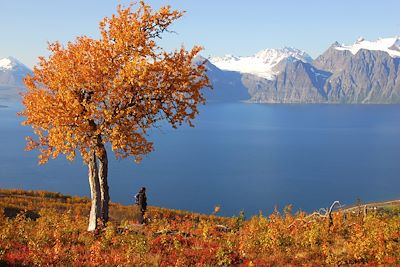 Lyngen Lodge - Olderdalen - Norvège