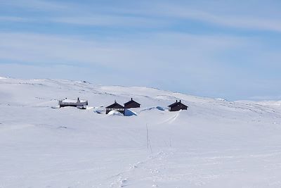 Plateau du Hardangervidda - Norvège