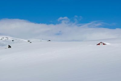 Ski de fond et ski nordique Norvège