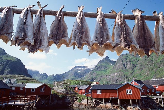 Voyage Merveilles des îles Lofoten, Senja et Vesteralen