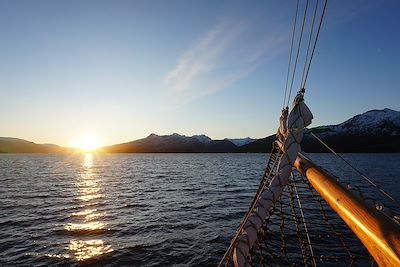 Observation animalière Norvège