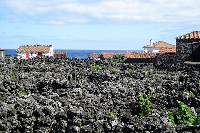 Voyage Escapades océanes: Faial, Pico, Sao Jorge