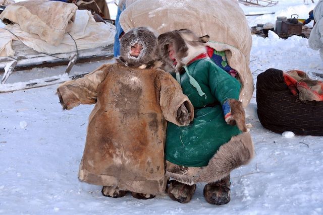 Voyage Transhumance avec les Nenets