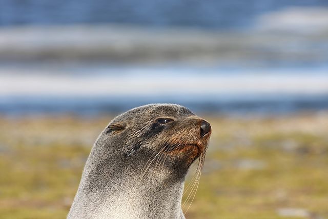 Voyage L'épopée atlantique du sud au nord