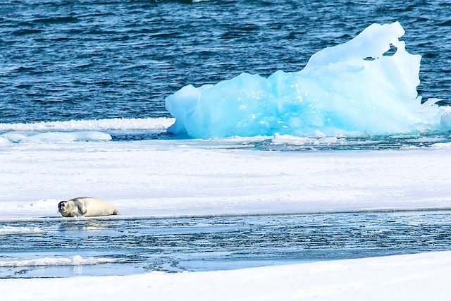 Voyage Le pôle Nord géographique