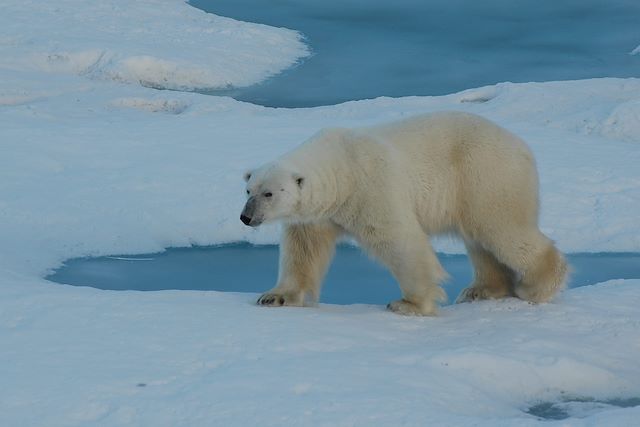 Voyage Réveillons à Longyearbyen