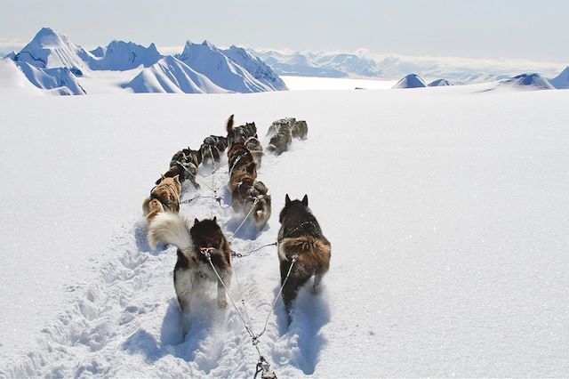 Voyage Traîneau à chiens et motoneige au Spitzberg