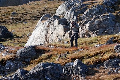 Renard arctique près de la pointe d'Alkhornet - Spitzberg - Norvège